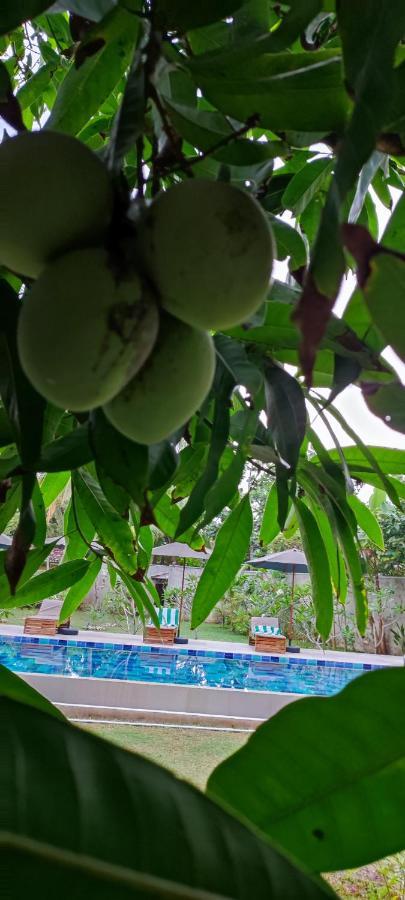 Mango Tree Villa Bentota Dış mekan fotoğraf